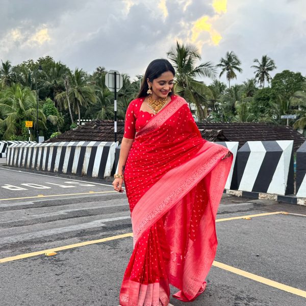 RANGEELA : SEMI GEOGETTE BANARASI SAREE